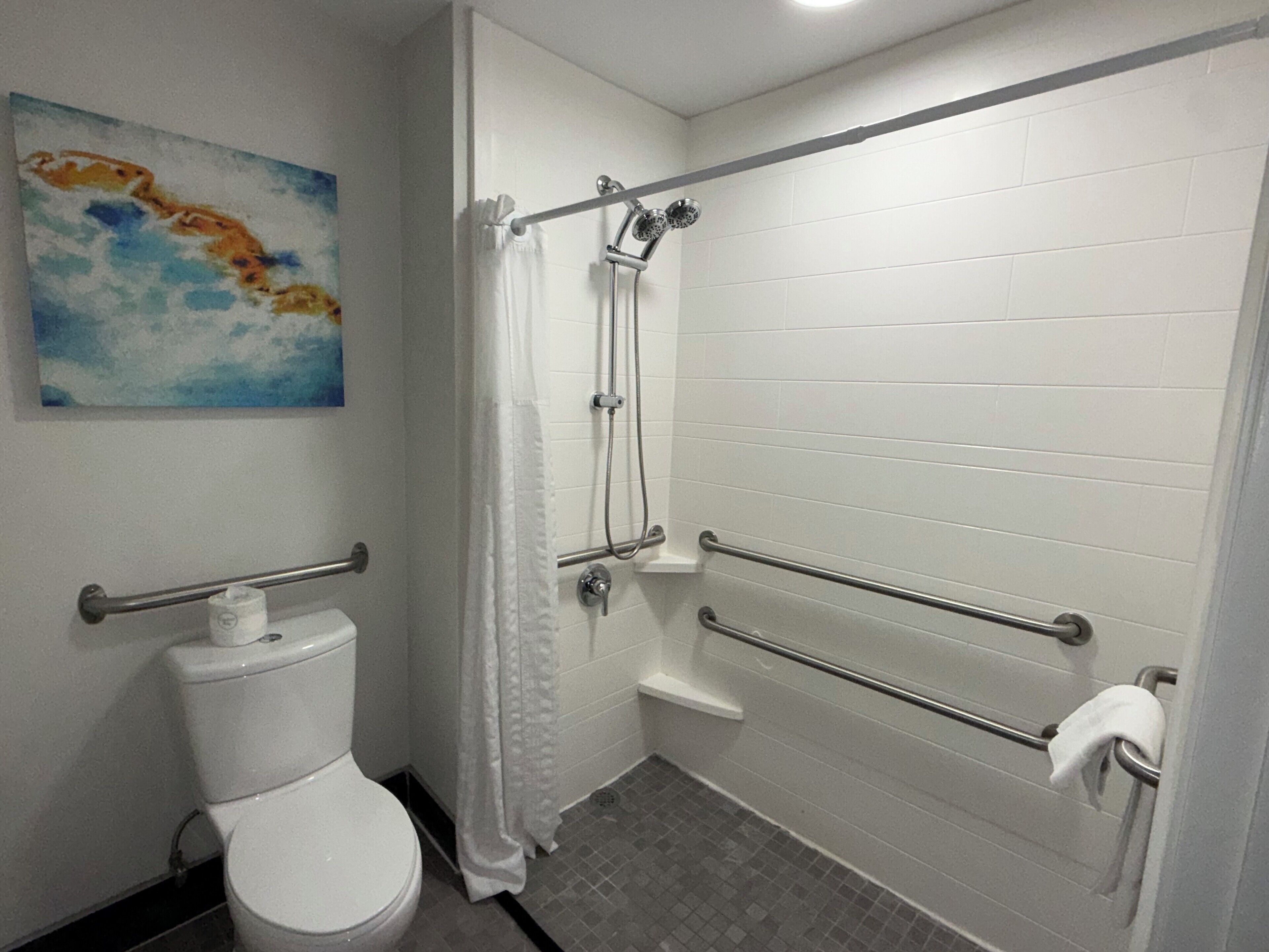 A bathroom with a toilet, shower, grab bars, and a painting on the wall.