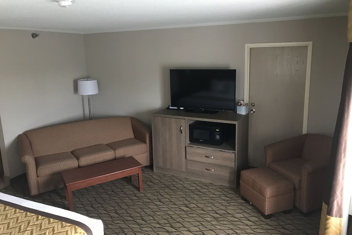 deluxe studio suite, 1 king bed with sofa bed | living area | tv