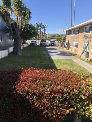 Stroll through a serene neighborhood with mature trees and a well-manicured lawn.