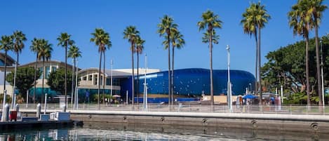 A waterfront view with a modern building, palm trees, and a clear sky.