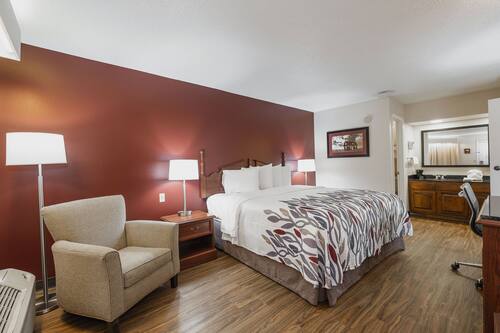 Superior Room, 1 King Bed, Non Smoking | Desk, blackout drapes, iron/ironing board, free WiFi