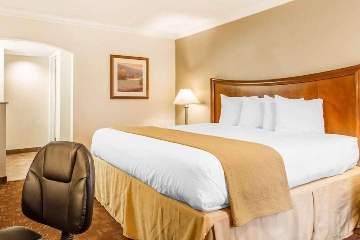 A hotel room with a bed, a desk, a chair, a lamp, and a framed picture on the wall.