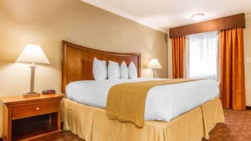 Business Room, 1 King Bed, Non Smoking | Individually decorated, individually furnished, desk, blackout drapes