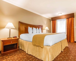 Business Room, 1 King Bed, Non Smoking | Individually decorated, individually furnished, desk, blackout drapes