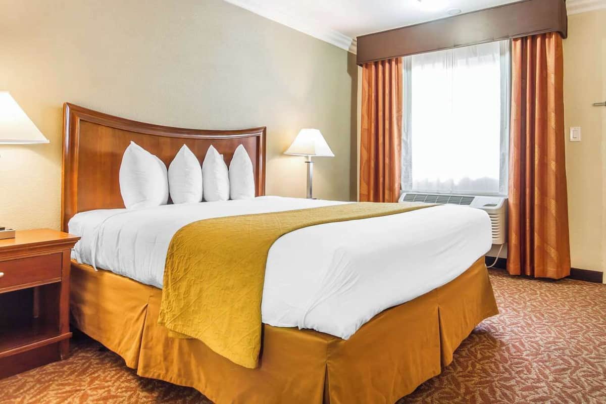 A hotel room with a large bed, two bedside tables, a window with curtains, and a ceiling light.