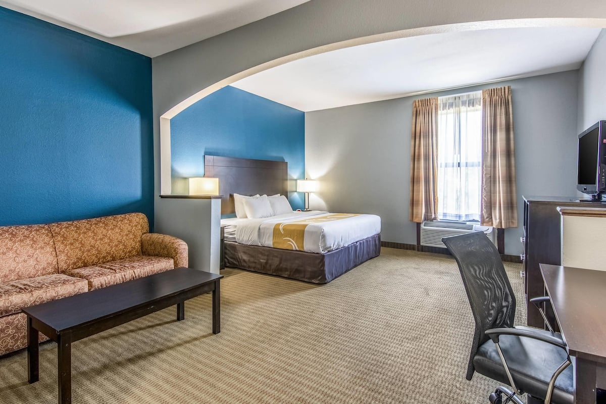 A hotel room with a bed, a sofa, a desk, and a TV.