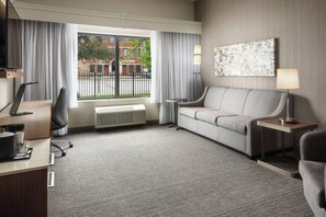 42-inch flat-screen TV with satellite channels, TV, pay films