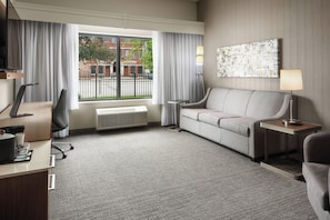 42-inch flat-screen TV with satellite channels, TV, pay films