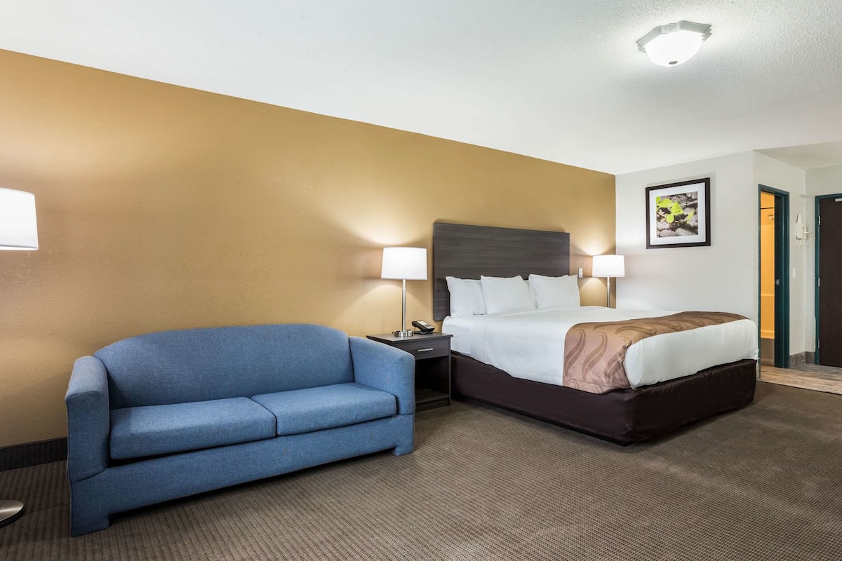 Habitación de hotel con cama, sofá azul, dos lámparas de noche y un cuadro en la pared.