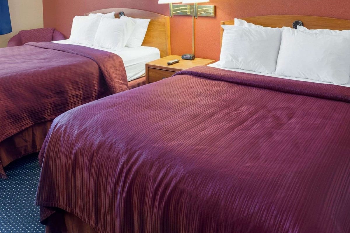 Une chambre d’hôtel avec deux lits, chacun agrémenté de draps blancs et d’une couette violette. Il y a une table de chevet avec une lampe entre les deux lits, et un tableau est accroché au mur au-dessus de la table de chevet.