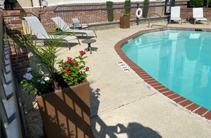 Seasonal outdoor pool, pool loungers