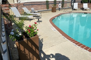 Seasonal outdoor pool, pool loungers