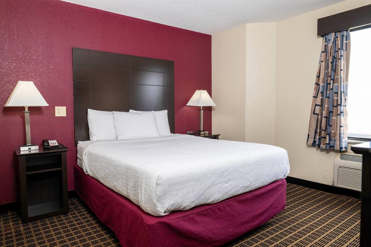 A hotel room with a large bed, two bedside tables with lamps, a red accent wall, and a patterned carpet.