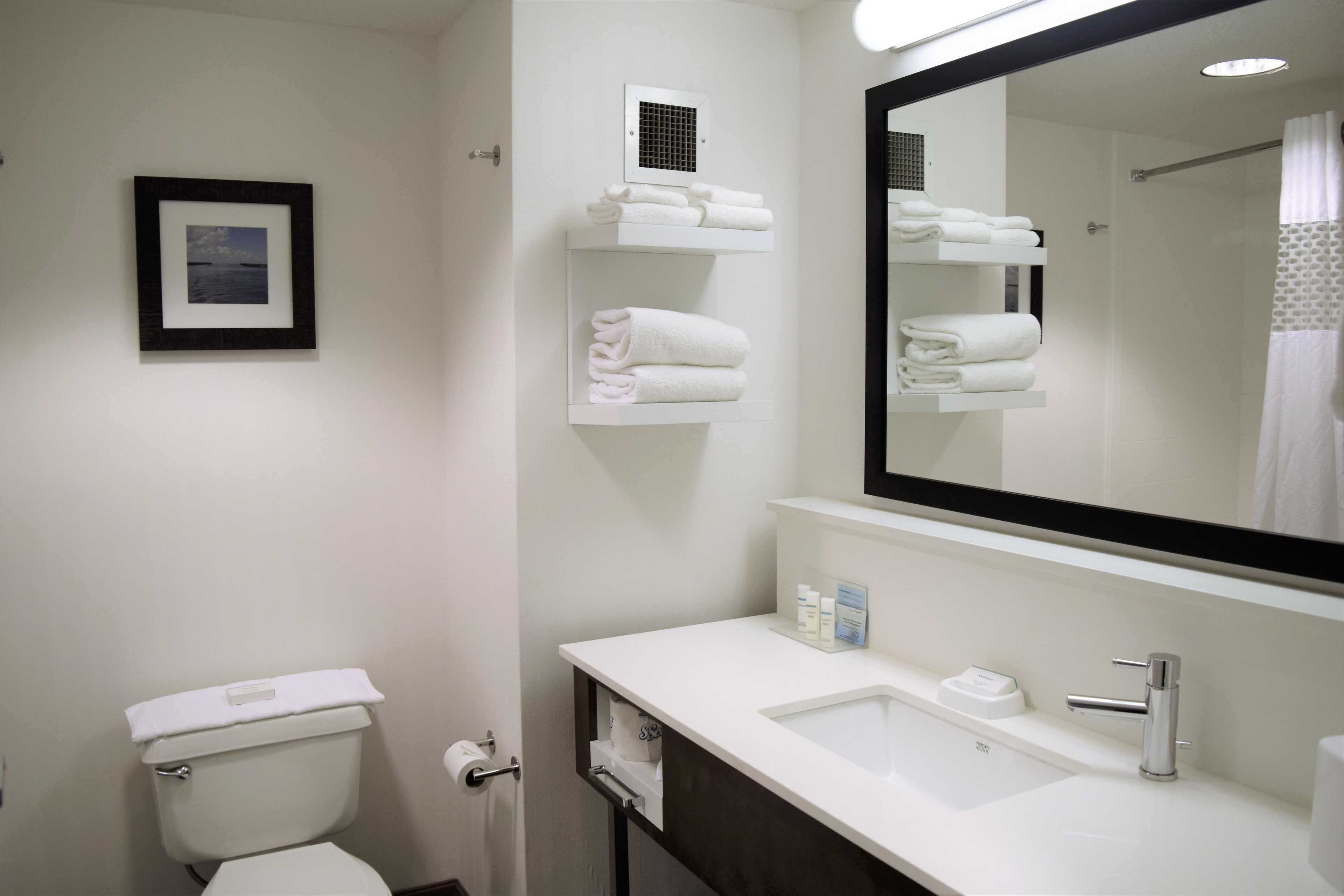 combined shower/bathtub, free toiletries, hair dryer, towels