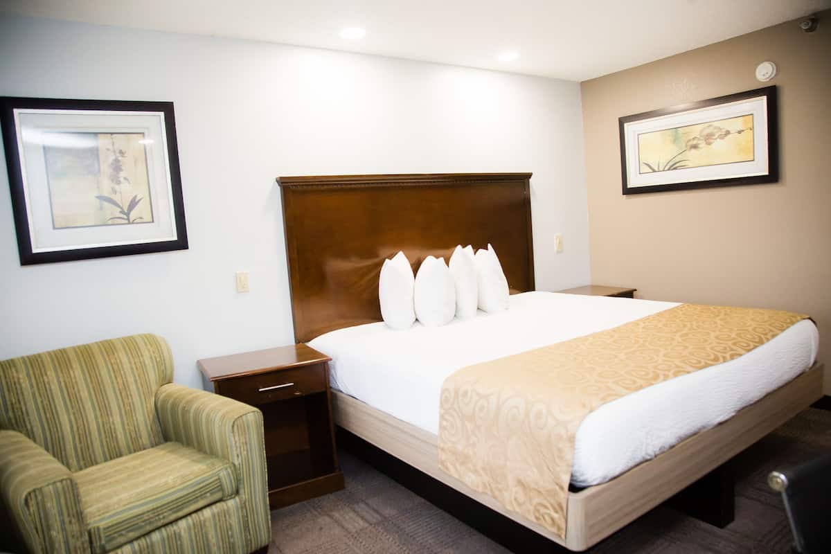 Deluxe Room, 1 King Bed, Non Smoking | Desk, iron/ironing board, free cribs/infant beds, free WiFi