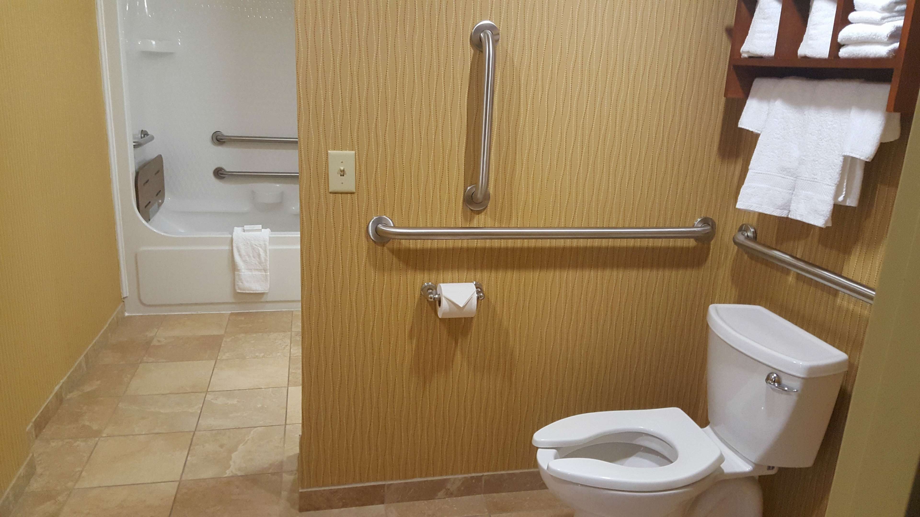 A bathroom with a toilet, grab bars, a towel rack, and a shower area.