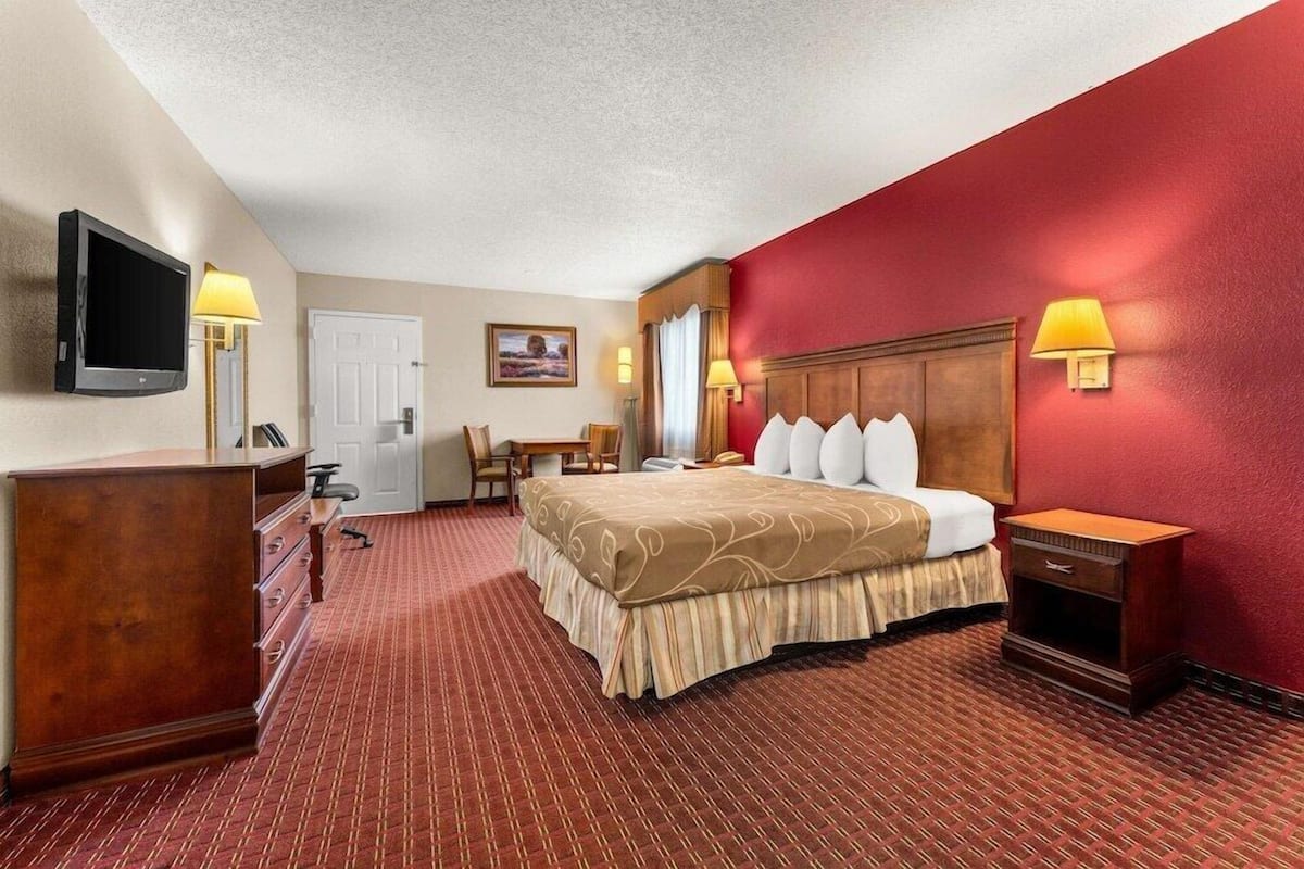 A hotel room with a bed, bedside table, lamp, TV, desk, chair, and a red accent wall.