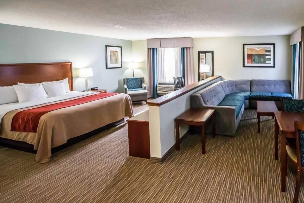 A hotel room with a bed, a sofa, a desk, and a chair.