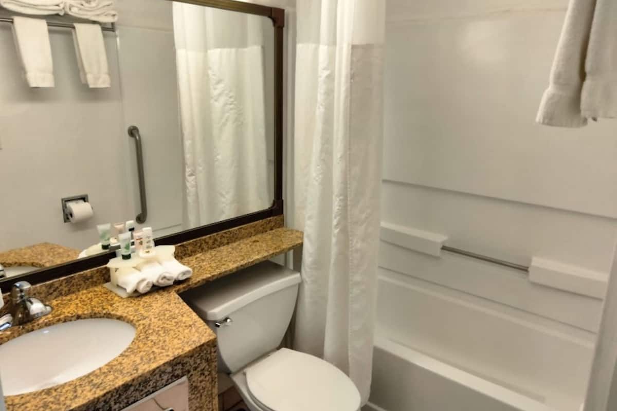 in-room safe, desk, iron/ironing board, free wifi