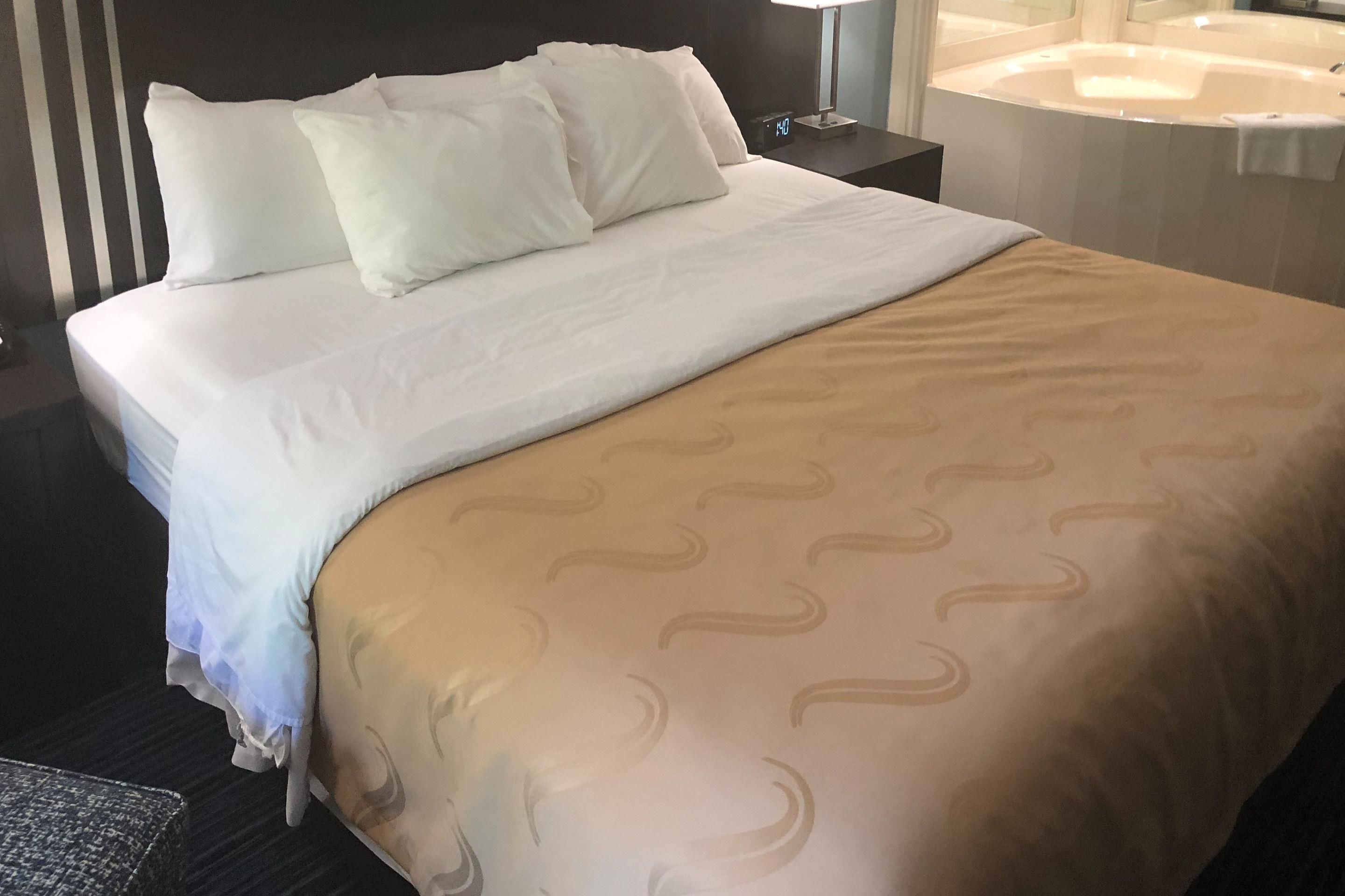 1 bedroom, desk, iron/ironing board, free wifi