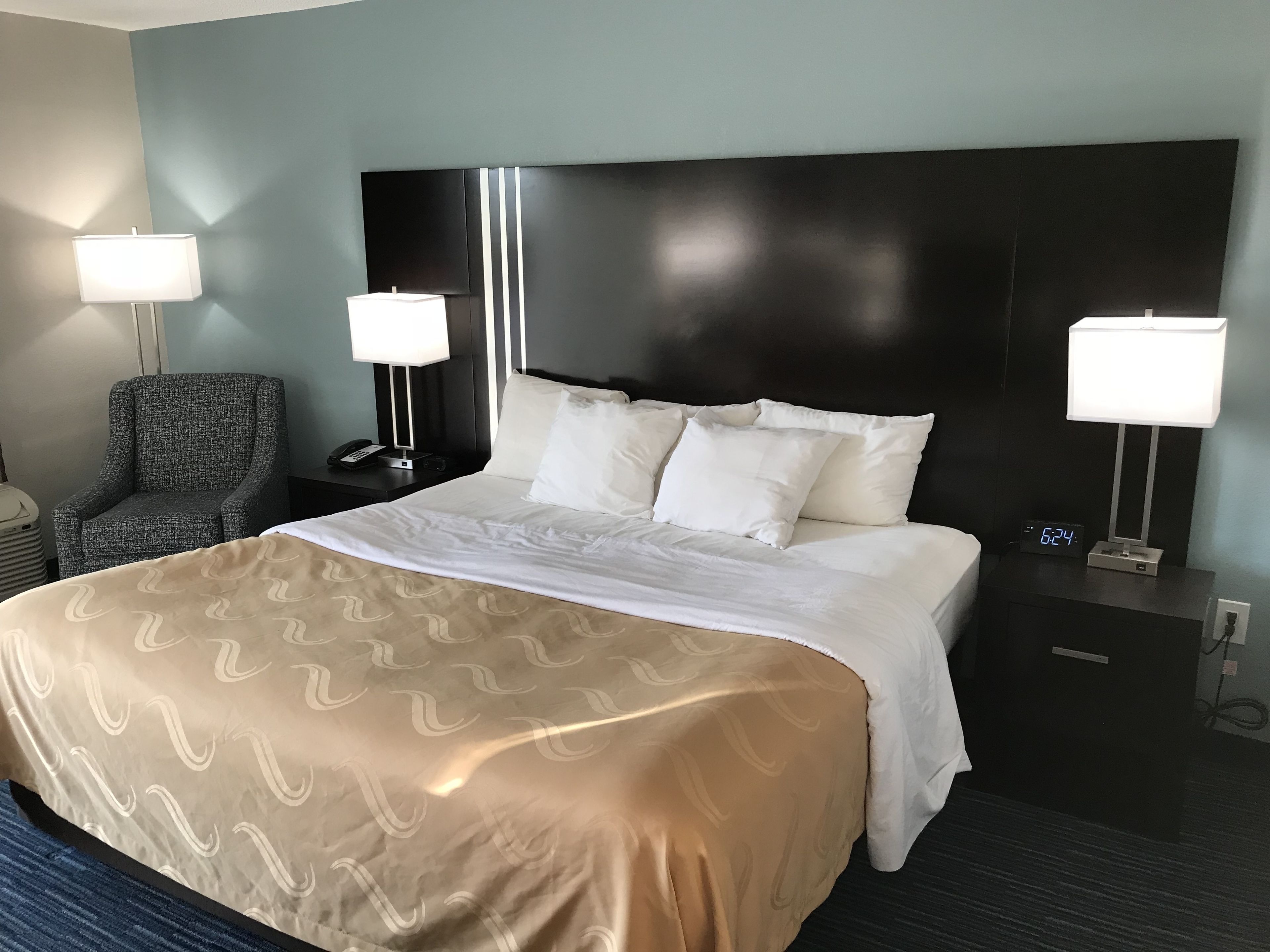 standard room, 1 king bed, non smoking | 1 bedroom, desk, iron/ironing board, free wifi