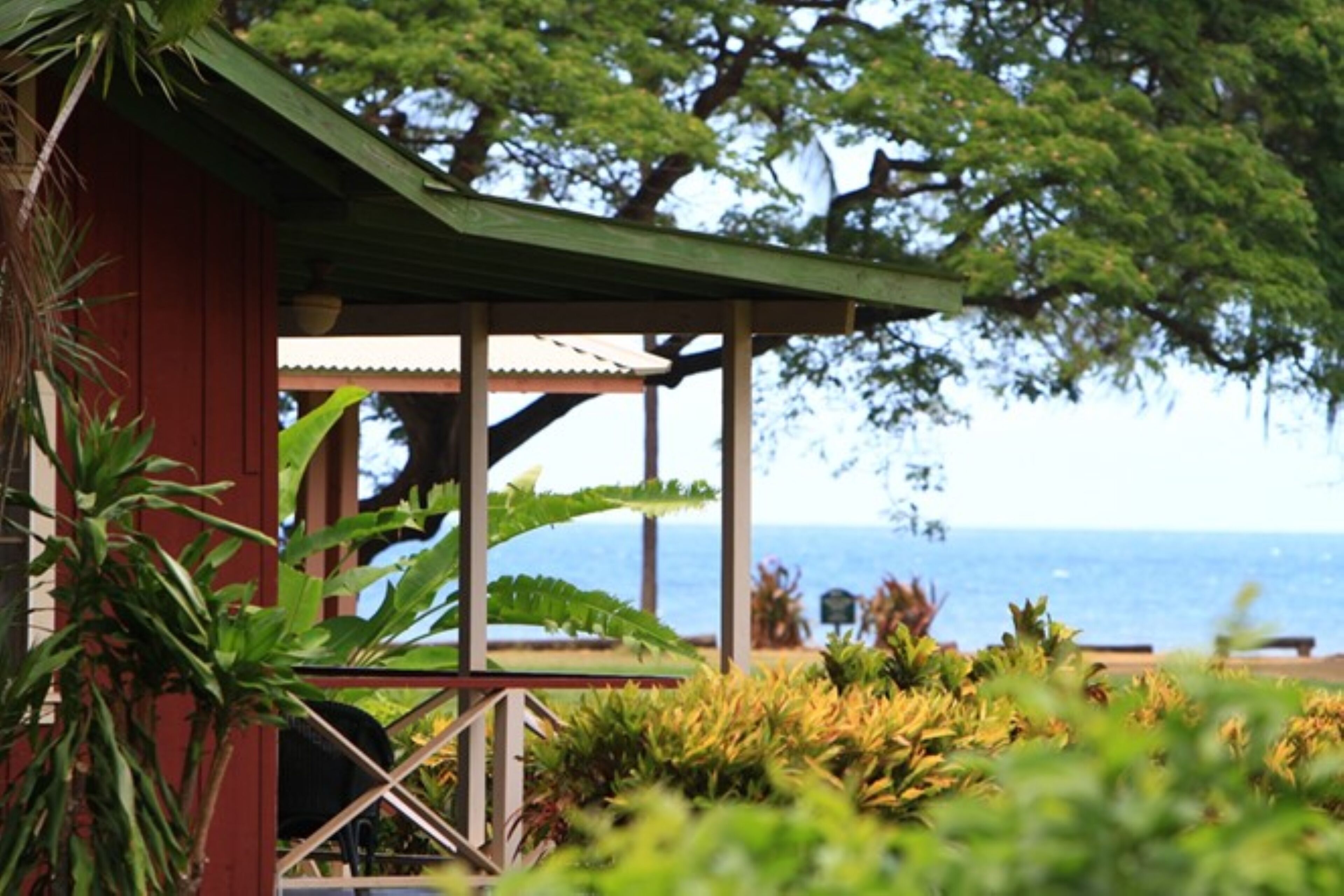 A covered outdoor area with a view of the ocean, surrounded by lush greenery and a red building.