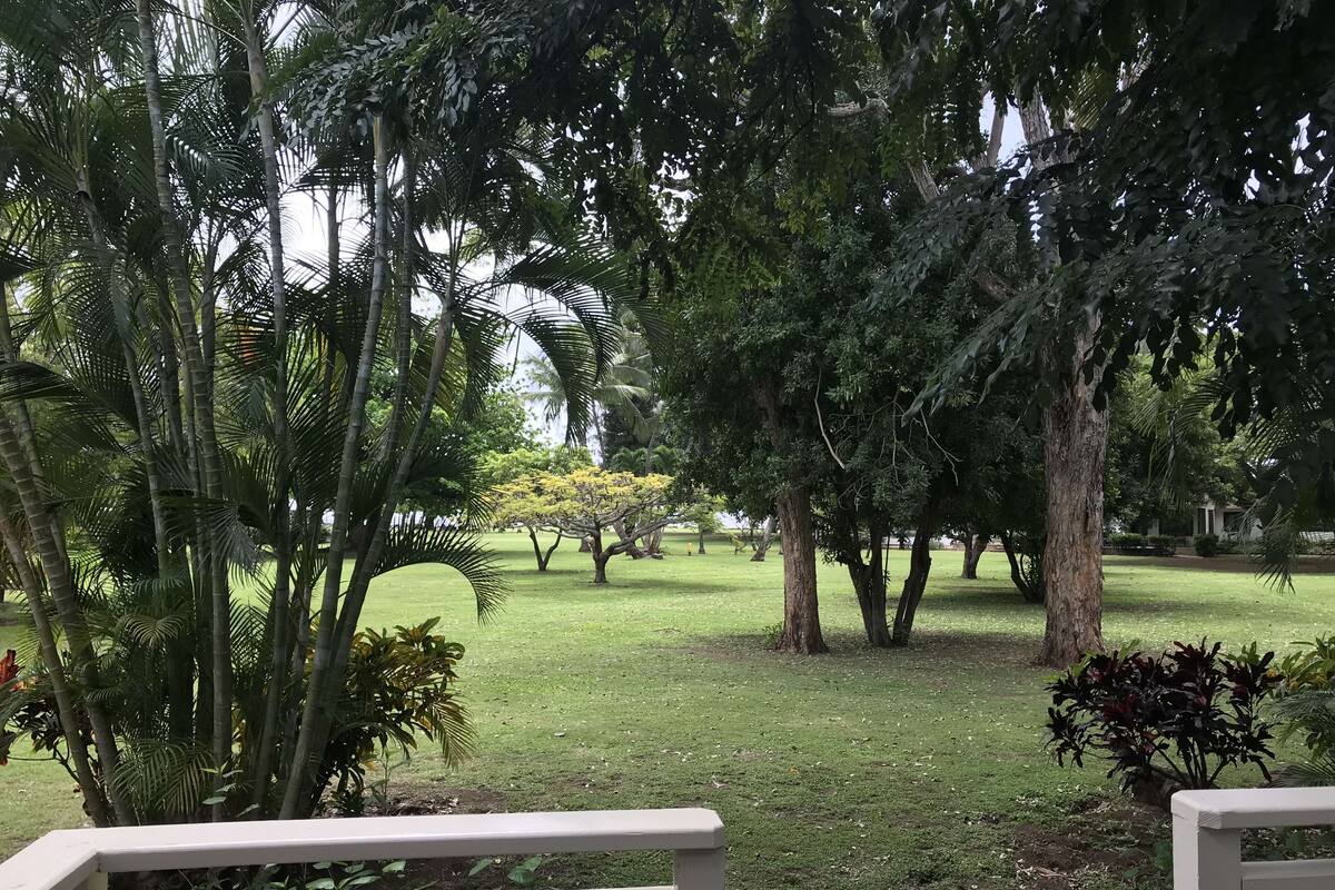 A lush garden with various trees and a well-maintained lawn.