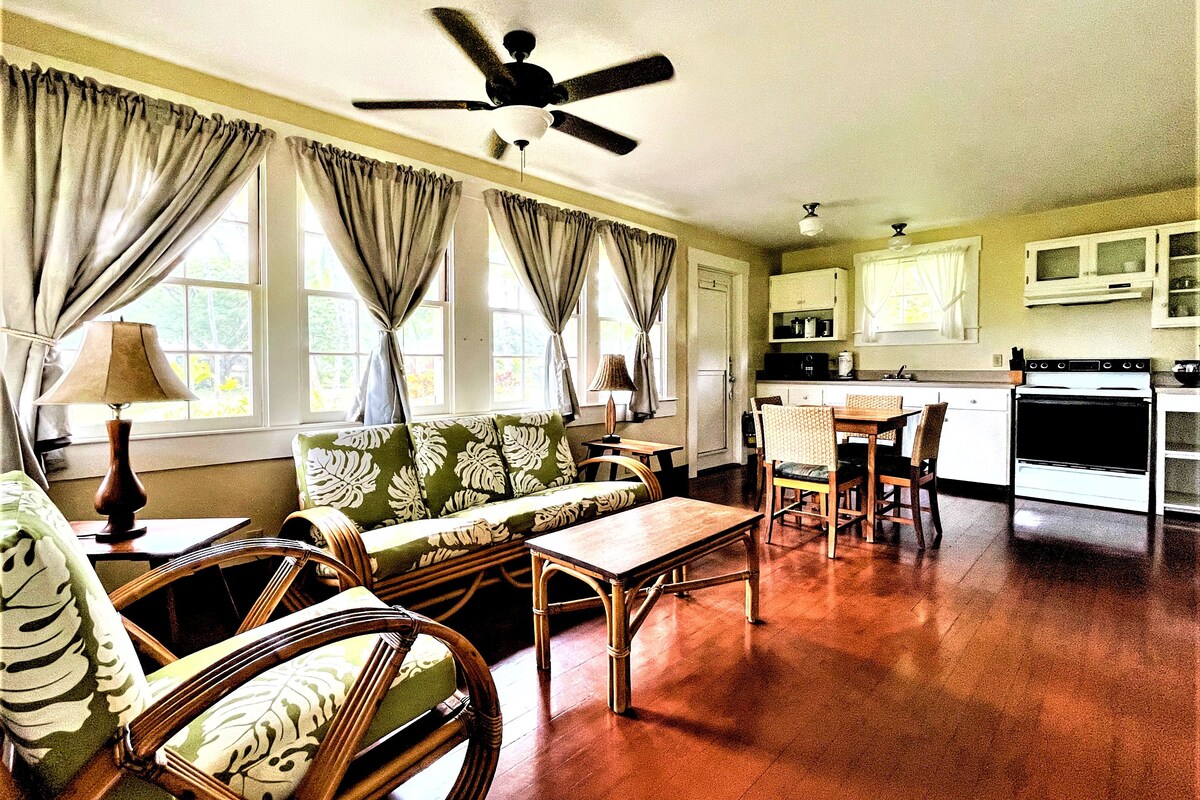 A room with a sofa, chairs, a table, a ceiling fan, a kitchen area, and a window with curtains.