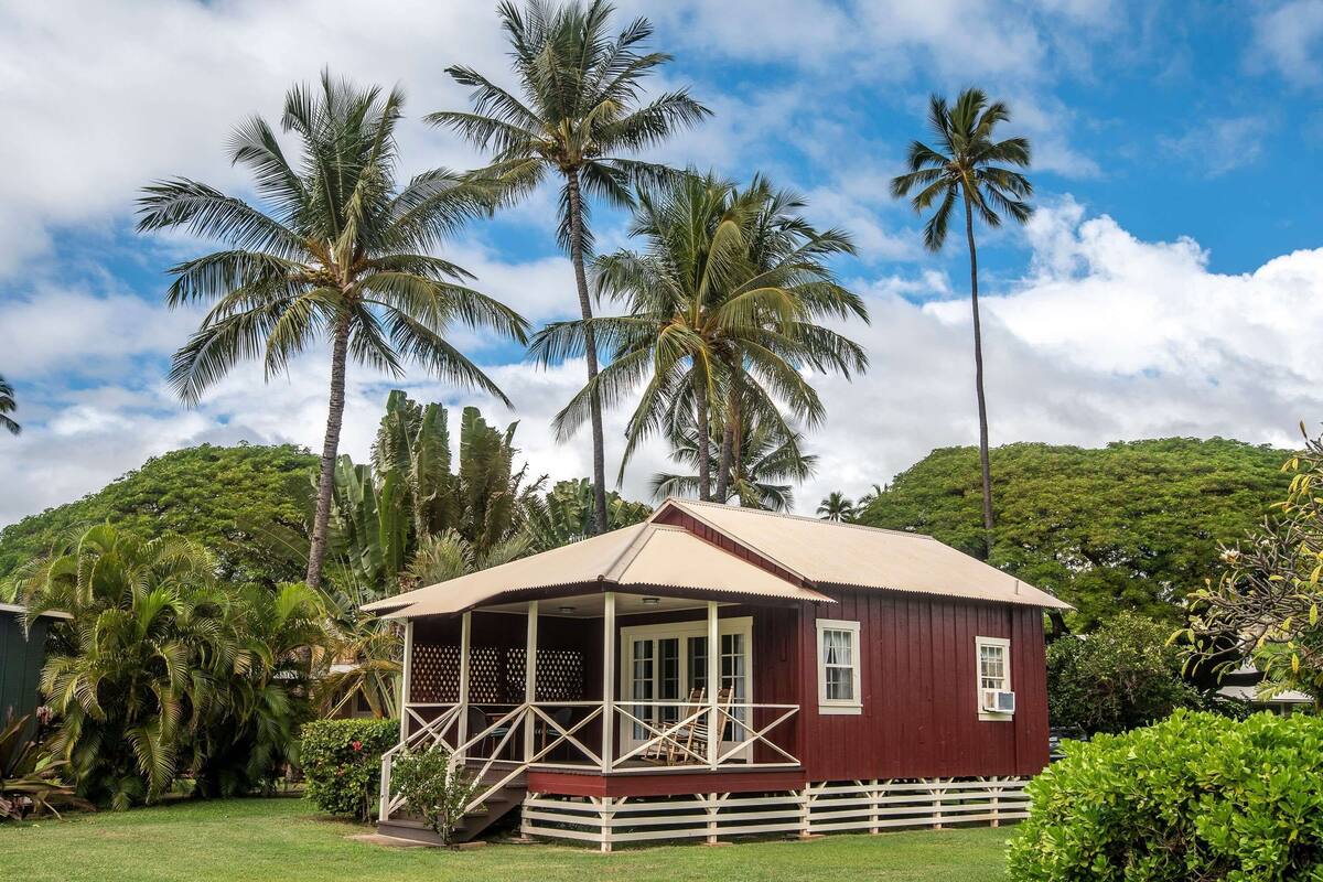 A small, single-story building with a porch, surrounded by lush greenery and palm trees.