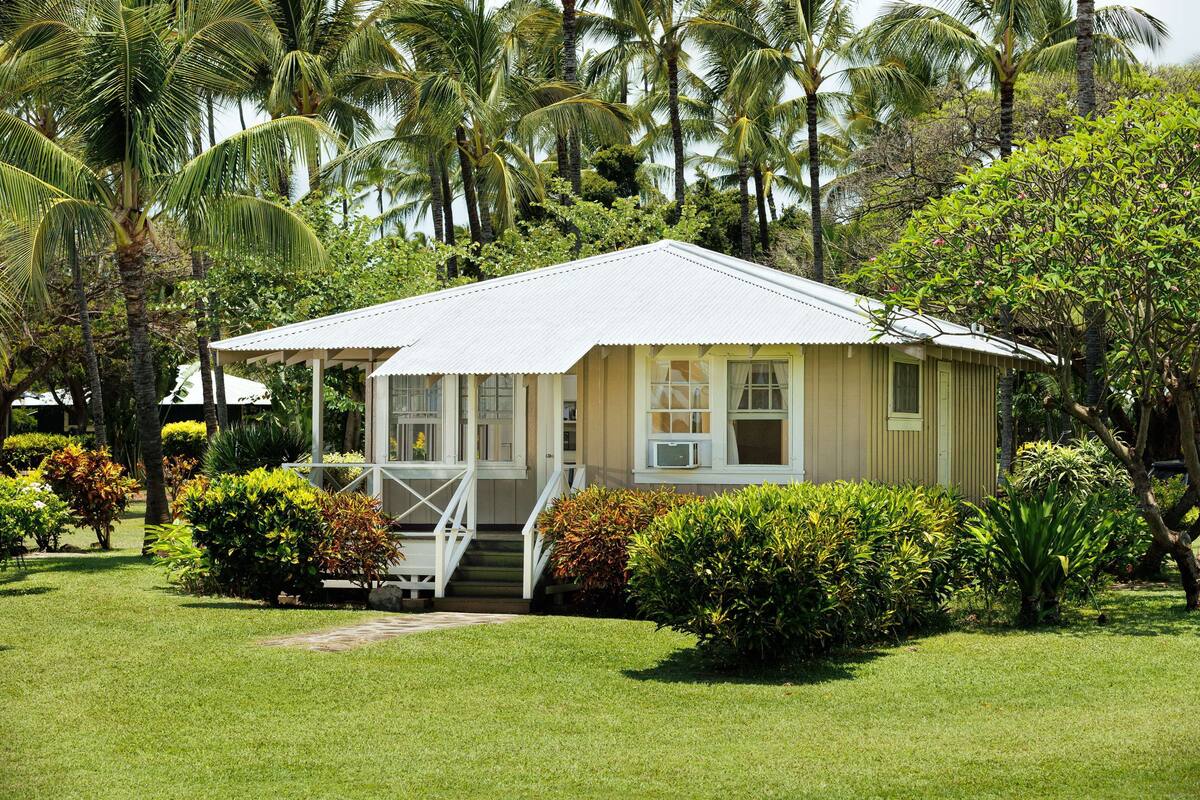 A single-story house with a white roof and beige walls, surrounded by lush greenery and palm trees.