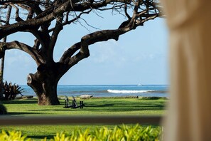 Coast Cottage, 3 Bedroom, Ocean View (King + Queen or King + Single) | View from room