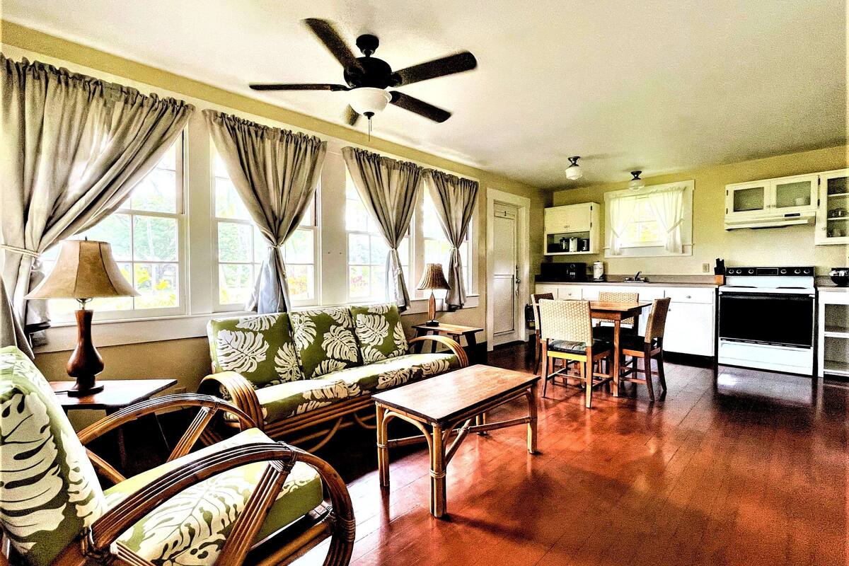 coast cottage, 1 bedroom, ocean view (king or queen) | room amenity