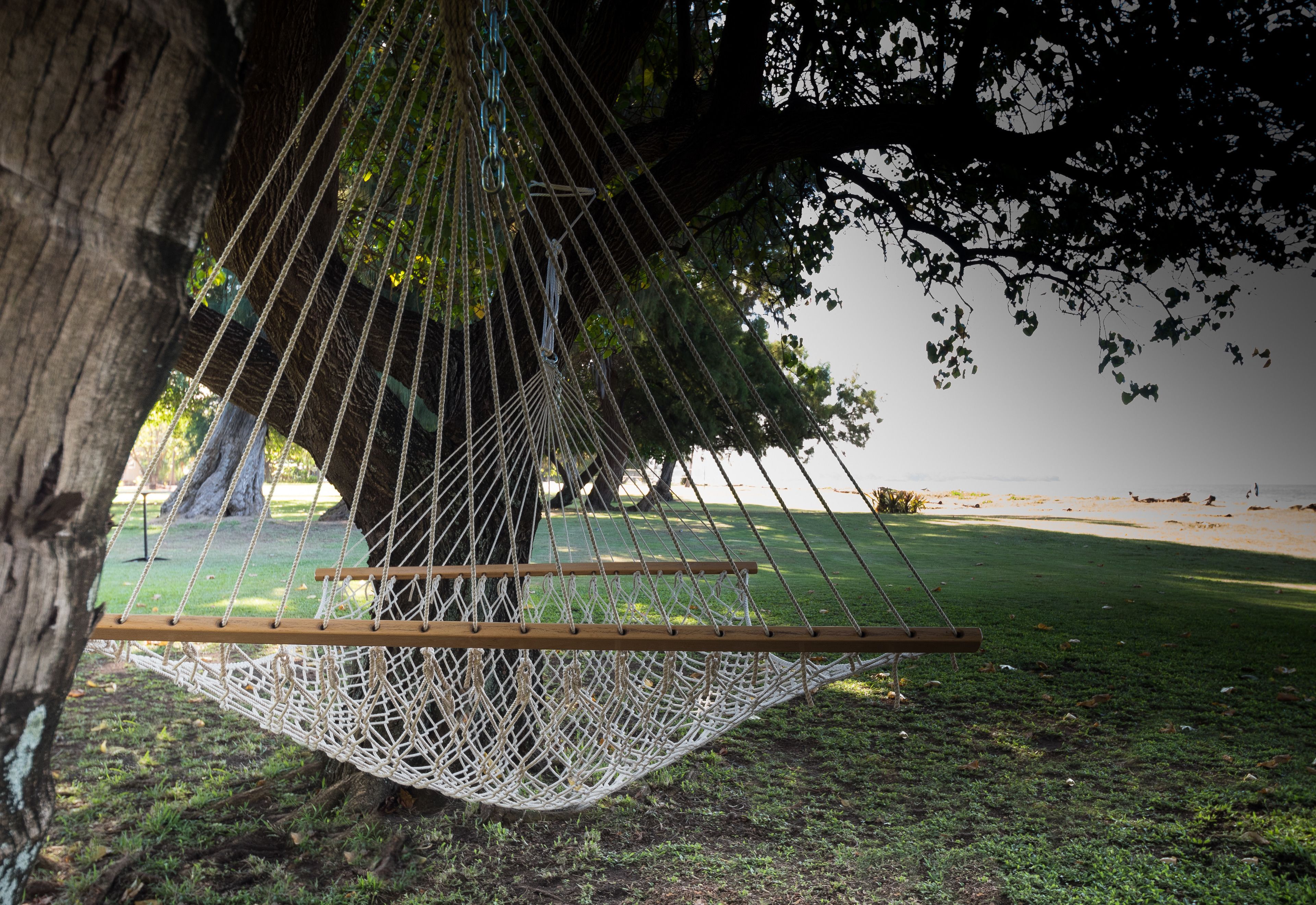 Un hamac suspendu entre des arbres dans un parc, avec une plage en arrière-plan.