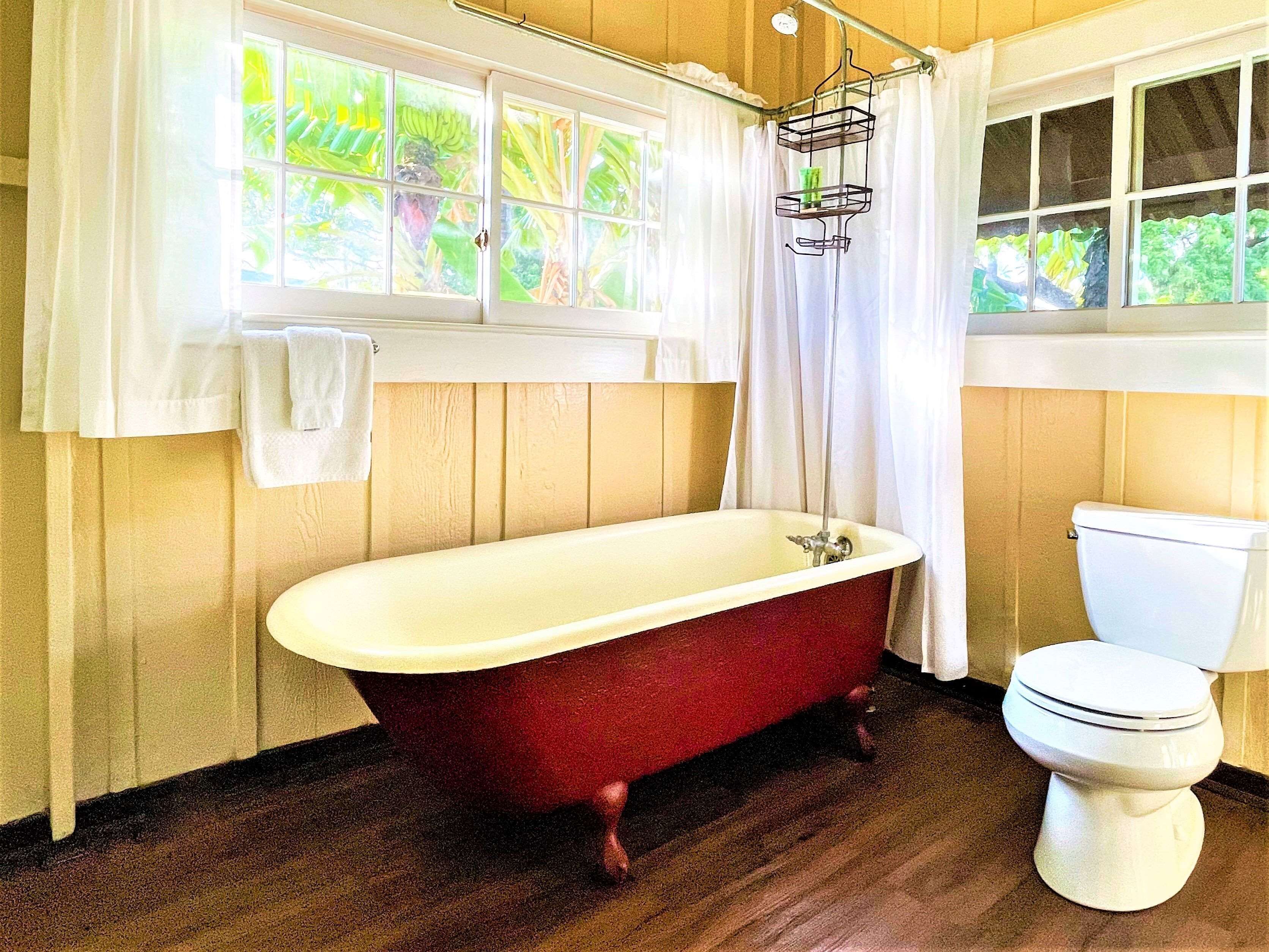 coast cottage, 1 bedroom, oceanfront (king or queen) | bathroom | shower, free toiletries, hair dryer, towels