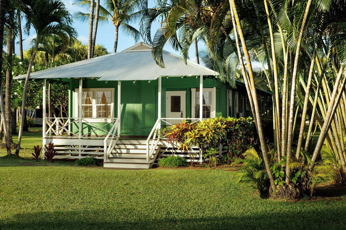 A green house with a porch, surrounded by palm trees and grass.