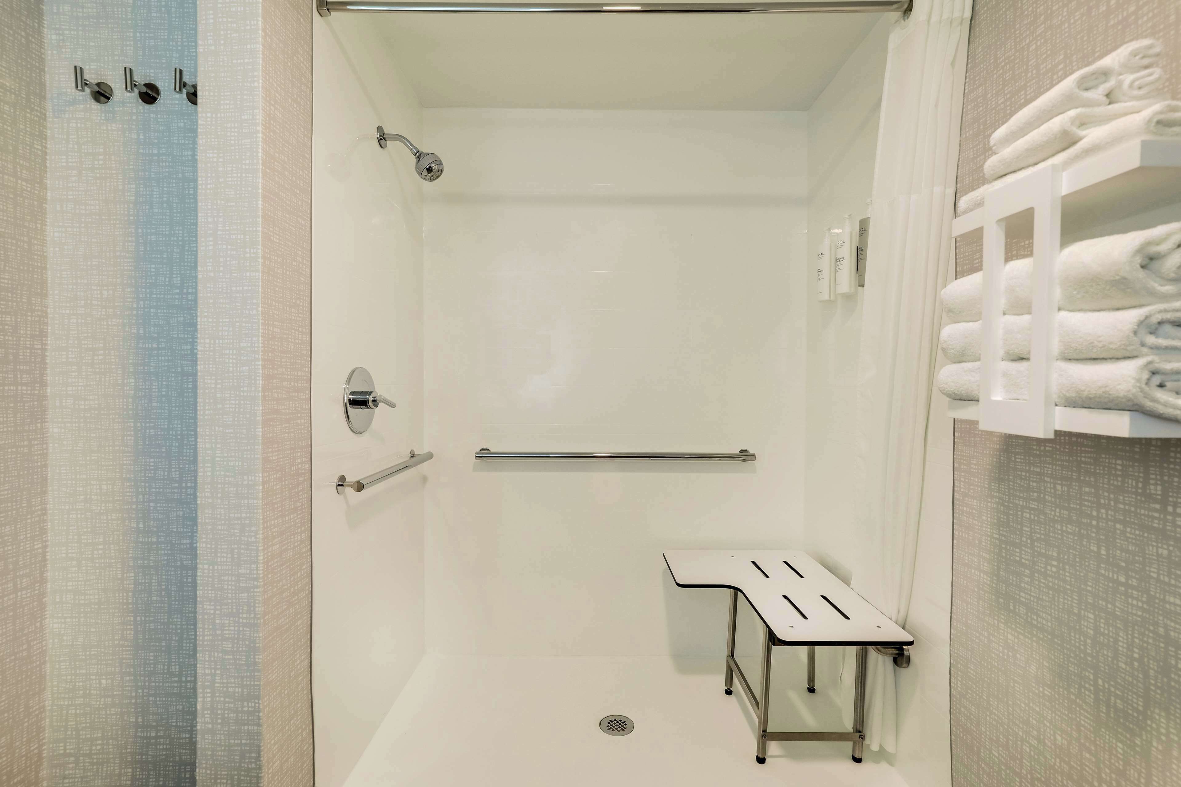 room, 1 king bed, accessible, non smoking | bathroom shower