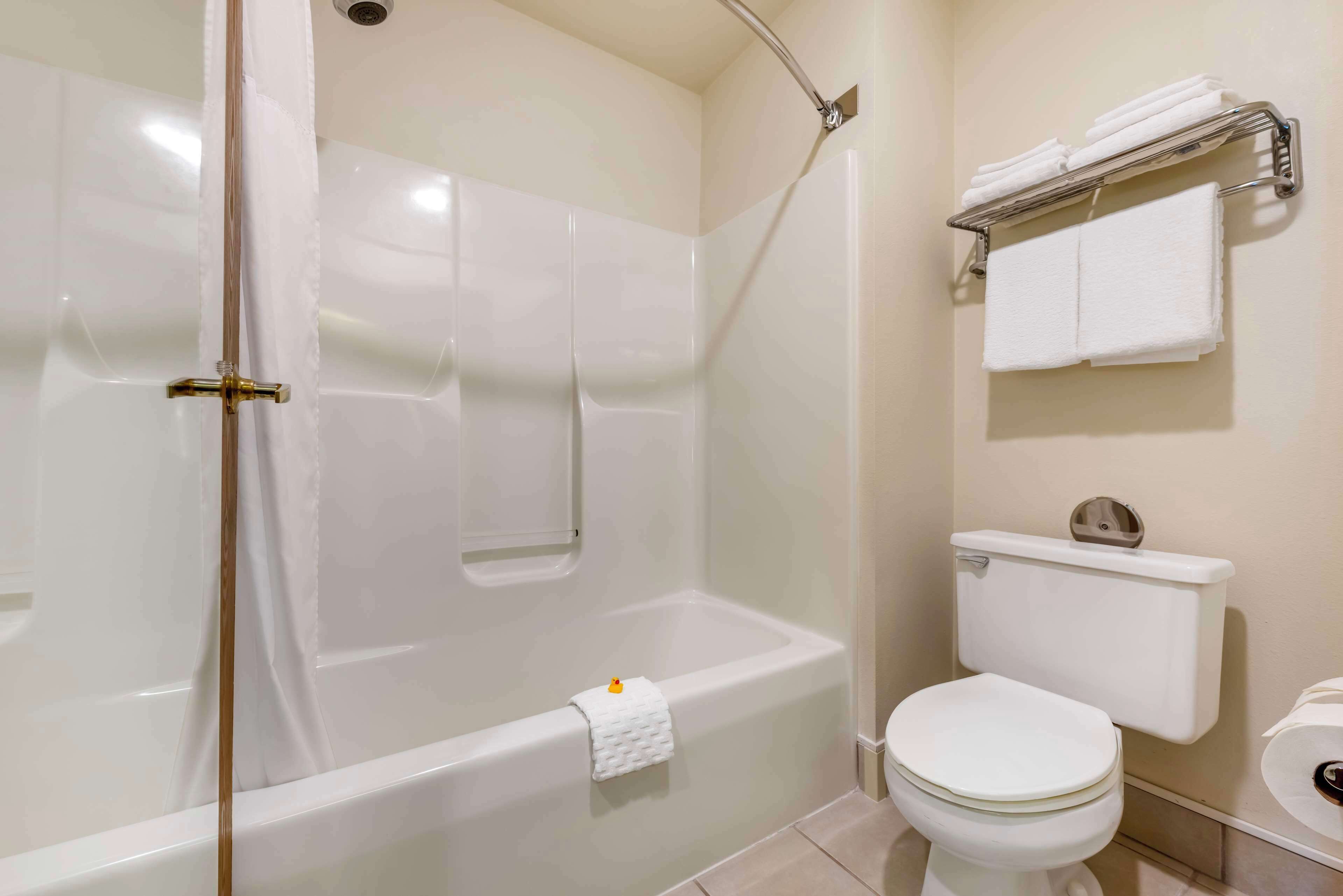 combined shower/bathtub, free toiletries, hair dryer, towels