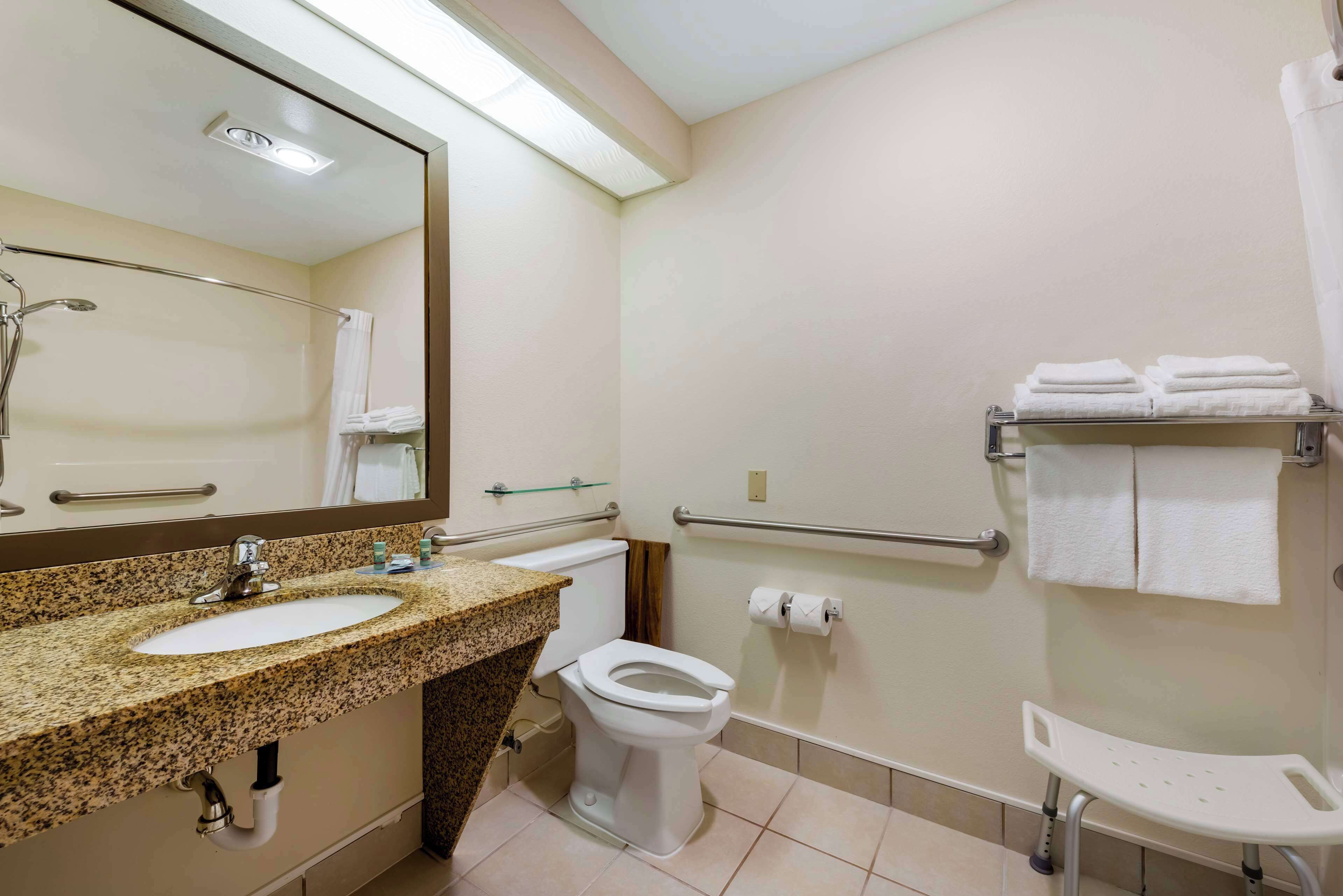standard room, 1 king bed, accessible, refrigerator & microwave (pet friendly) | bathroom | combined shower/bathtub, free toiletries, hair dryer, towels