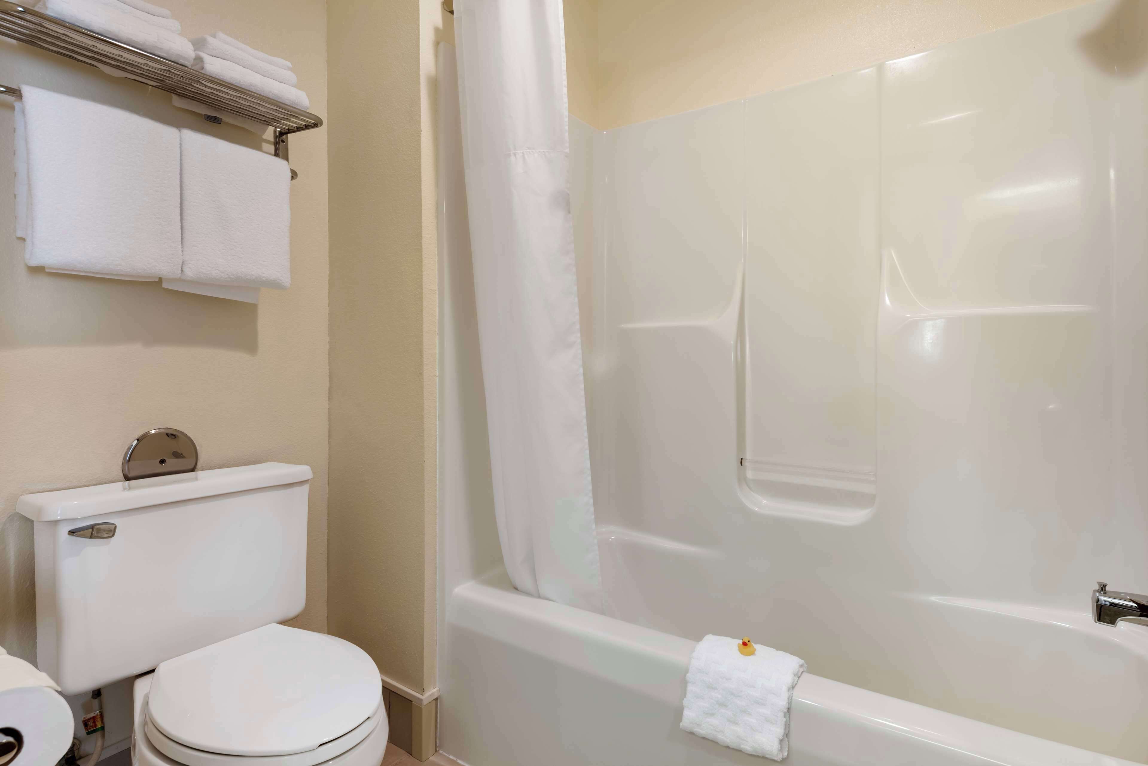 combined shower/bathtub, free toiletries, hair dryer, towels