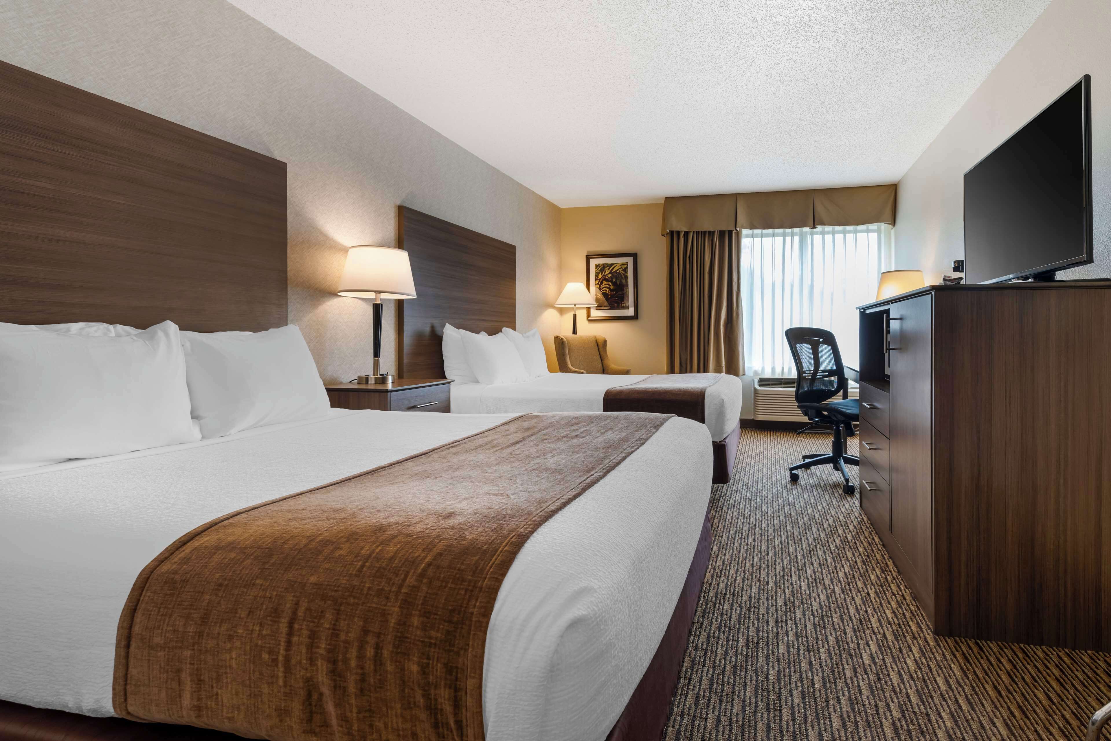 iron/ironing board, free cots/infant beds, wifi, bed sheets