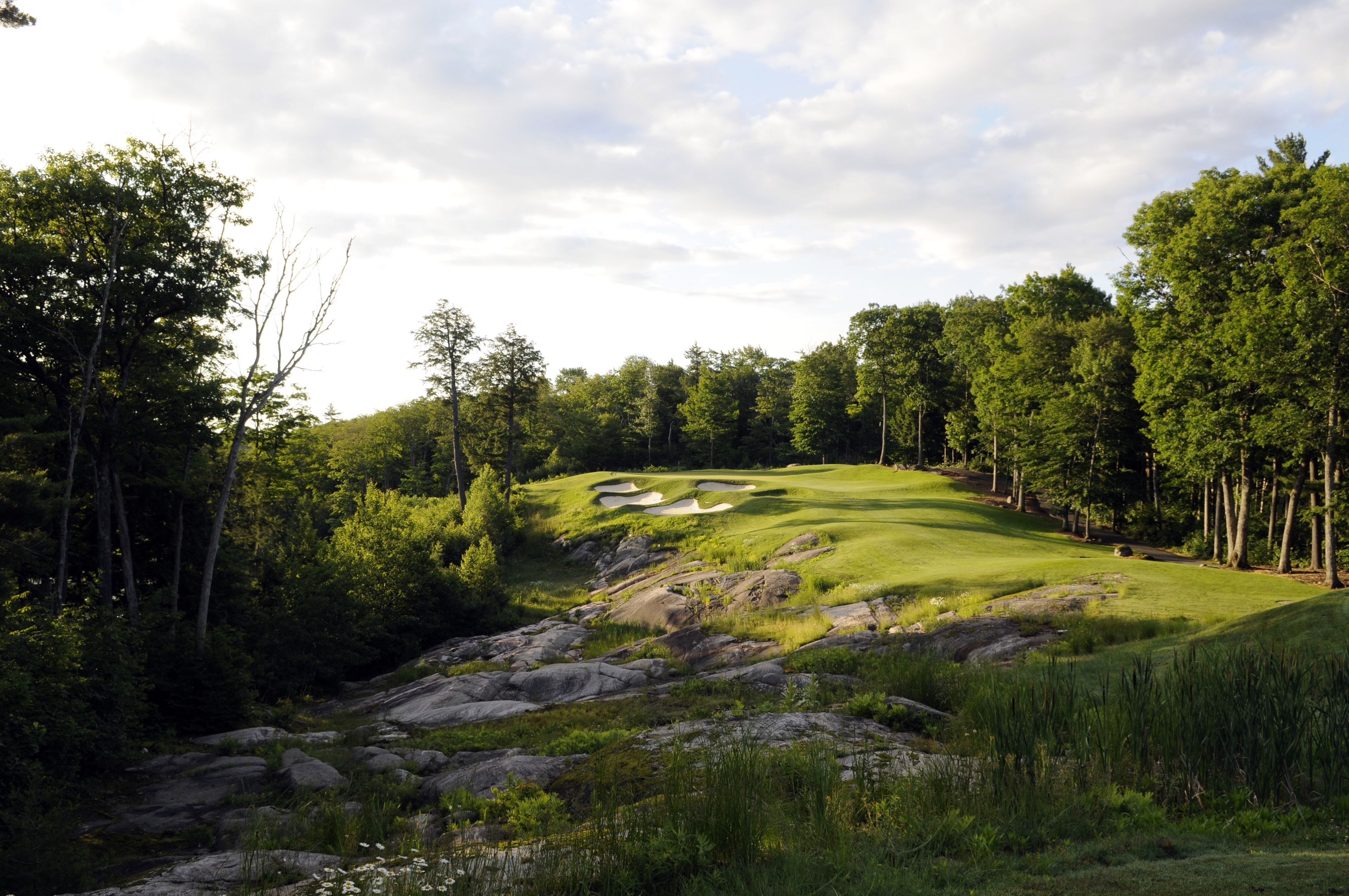 Un campo de golf con un green cuidado, bunkers de arena y una zona boscosa.