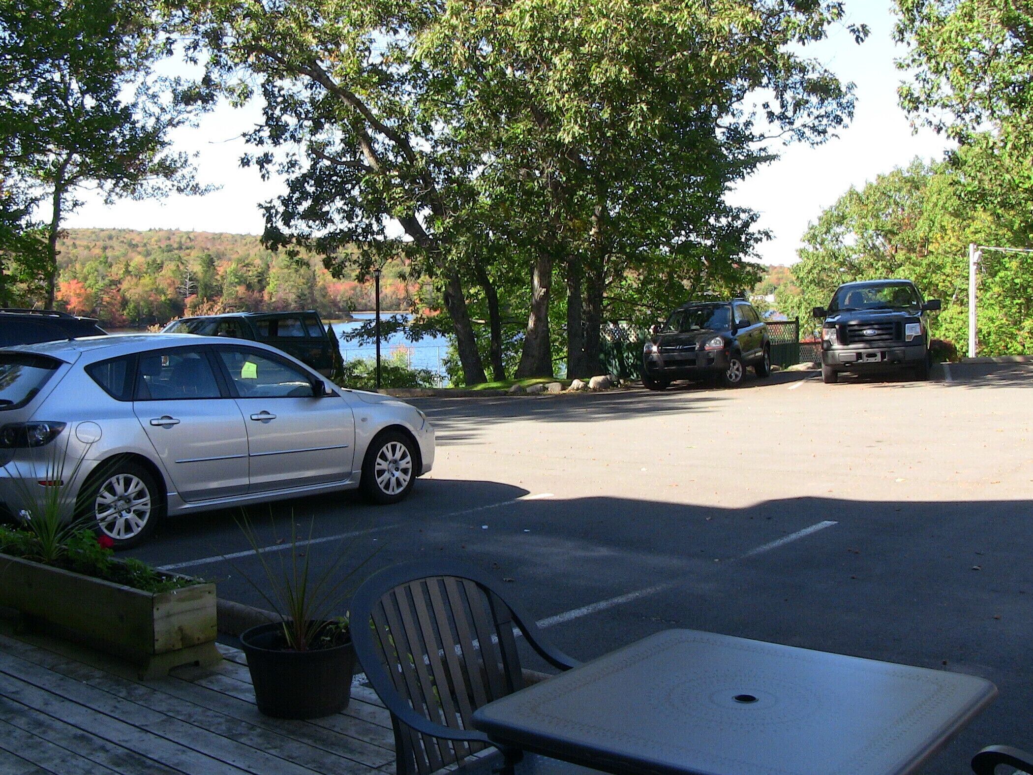 deluxe room, pets allowed | view from room