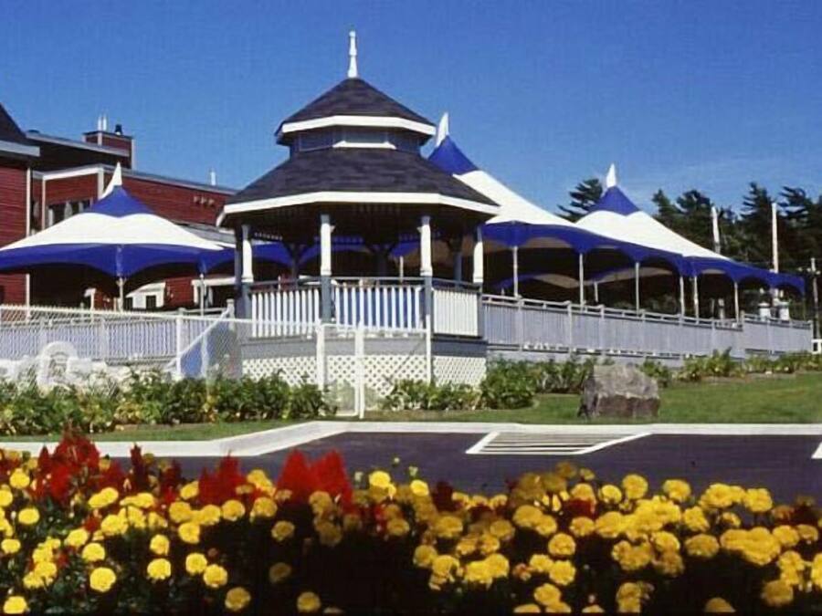 A gazebo with a blue and white roof, surrounded by a white fence, and yellow flowers in the foreground.