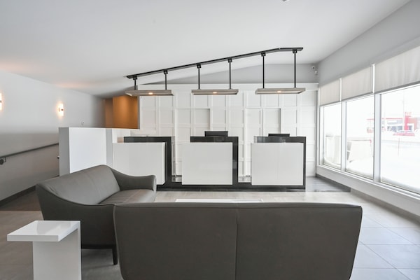 منطقة الاستقبال