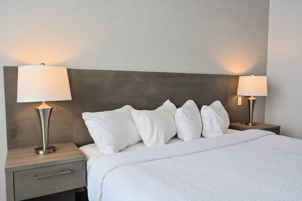 Executive Room, 1 King Bed, Hot Tub | Desk, blackout drapes, iron/ironing board, free WiFi