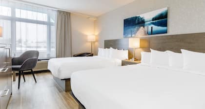Repotel Levis