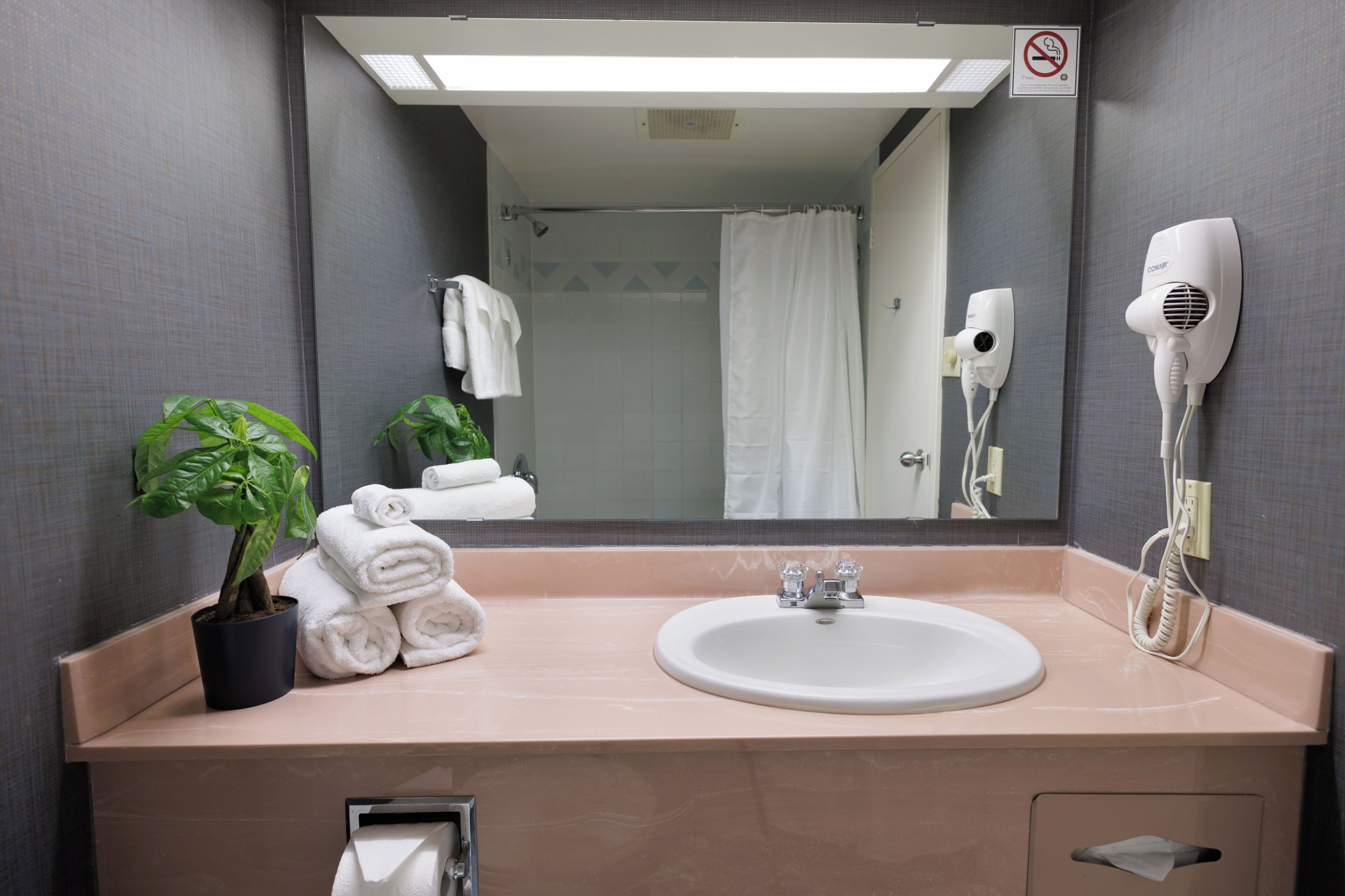 Uma casa de banho com uma pia, um espelho, um porta-toalhas, um secador de cabelo e uma planta em vaso.