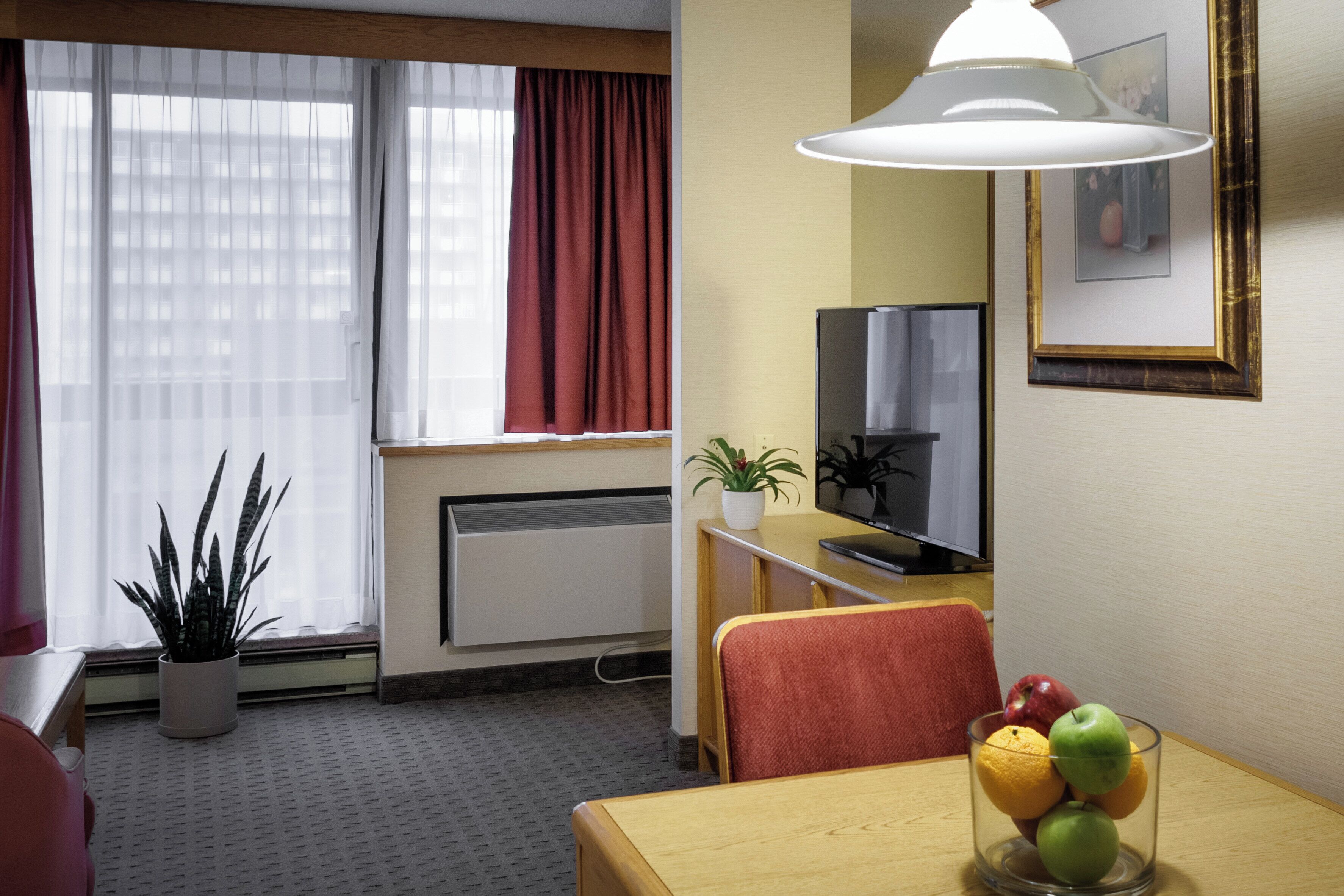 Habitación de hotel con una mesa de comedor, una silla, una planta en maceta, un televisor y una ventana con cortinas.