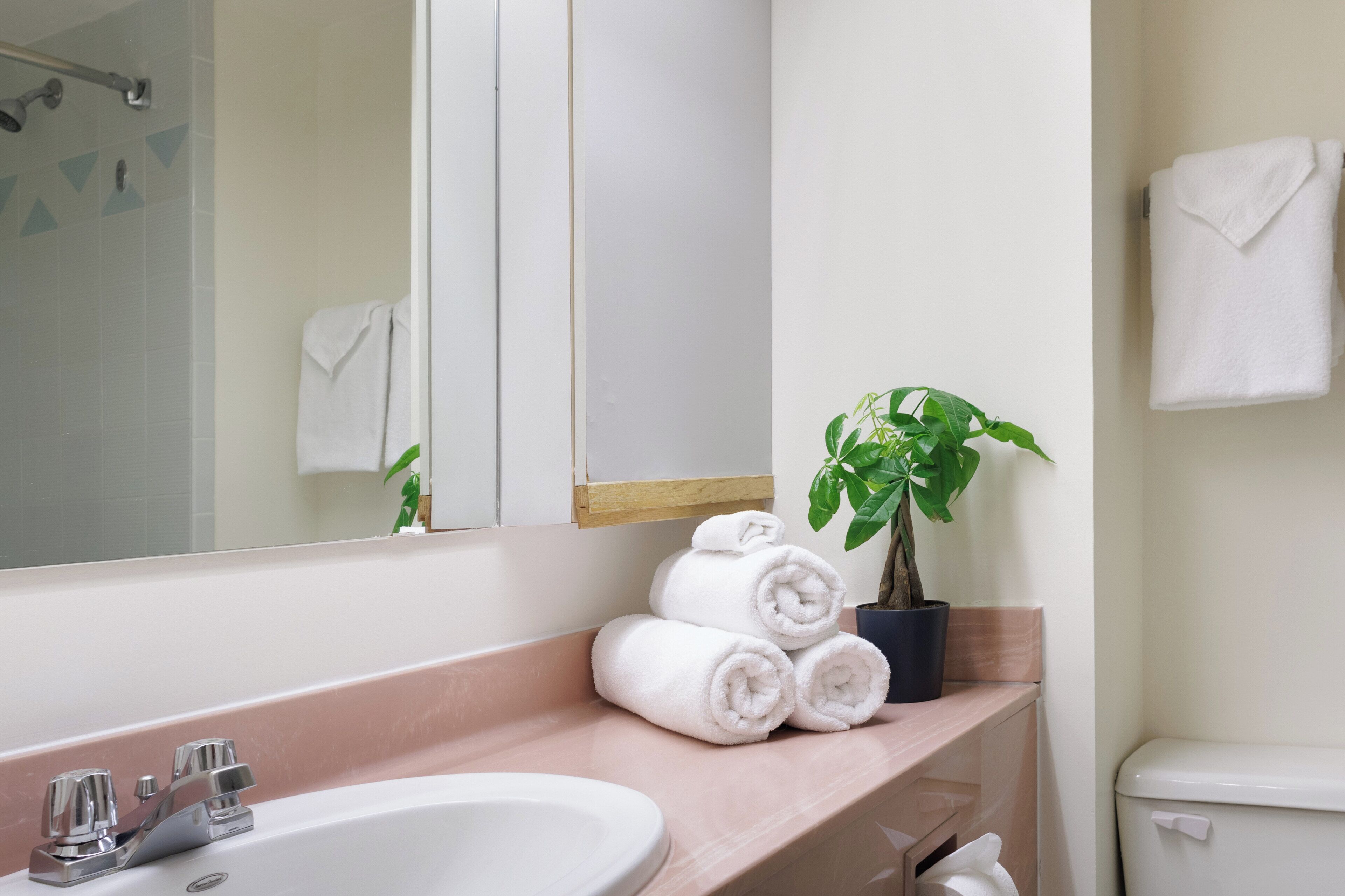 Un baño con lavamanos, espejo, toallero y una planta en maceta.