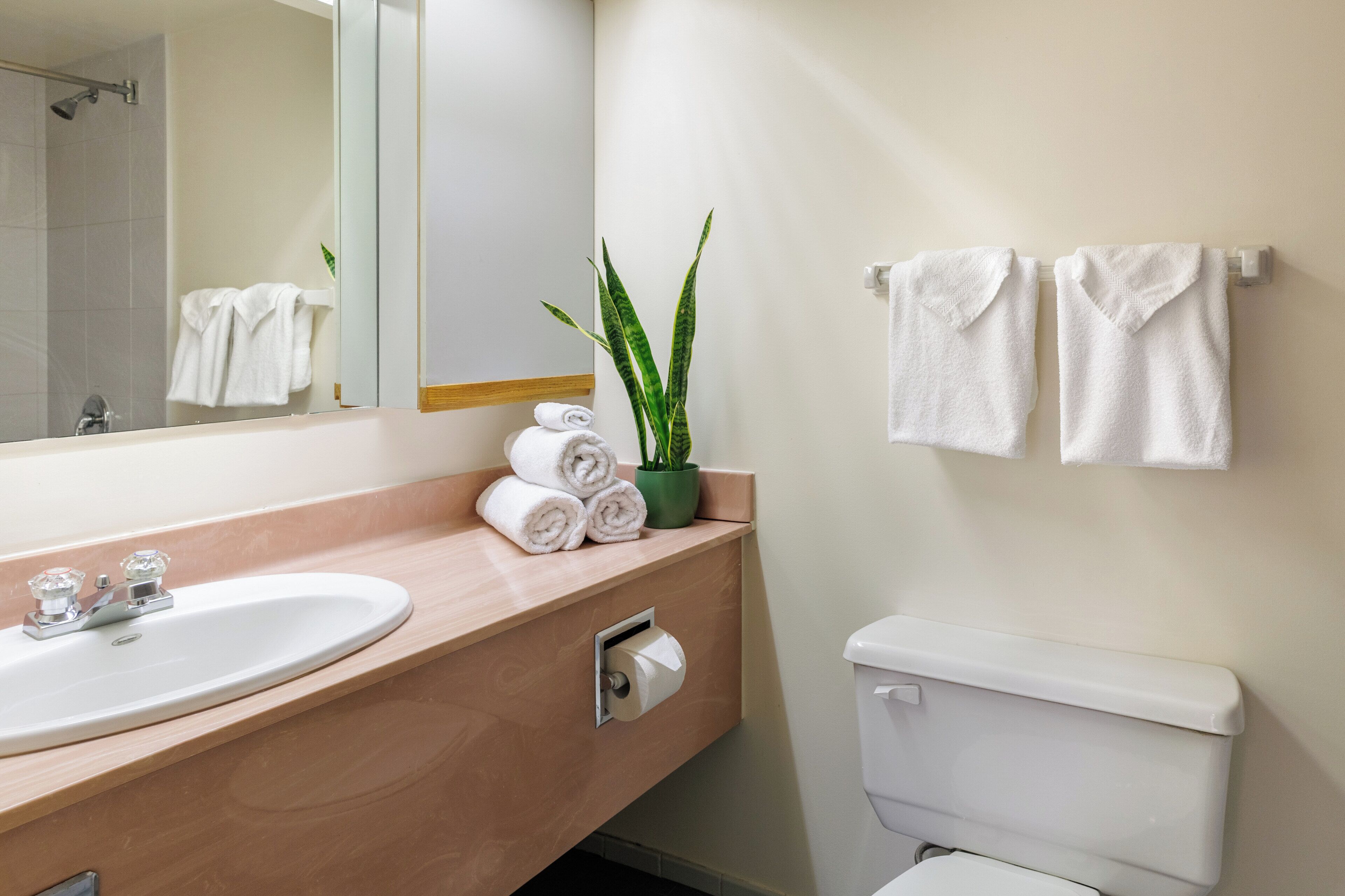 A bathroom with a sink, toilet, towel rack, and a mirror.